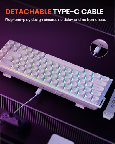 SEUNKWANG F68 Gaming Keyboard, Portable 60% Compact Mini Keyboard with 68 Round PBT Keycaps, Wired RGB Backlit Mechanical Feel Keyboard for PC Laptop Windows Gamer, White