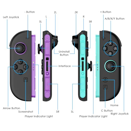 Switch 2 Controller Compatible with Nintendo Switch 2 Controller, Replacement Wireless Controller for Switch 2, Support Rumble/Motion Controls/Gamechat(Pruple & Green)