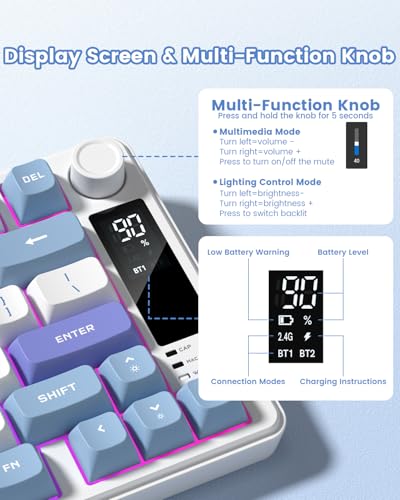 Womier DK75 75% Wireless Gaming Keyboard, RGB Backlit Creamy Keyboard with Media Knob, OLED Screen, Tri-Mode 2.4GHz/USB-C/BT5.0, Anti-Ghosting No-Conflict Silent Membrane Keyboard for MAC Windows - color: Blue&Purple