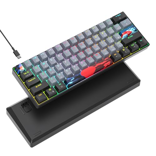 Portable 60% Mechanical Gaming Keyboard Grey/Black, RGB Backlit Wired Key Board with Blue Switch, Compact 61 Keys Mini Office Keyboards with for Windows Laptop PC (61 Dolch/Blue Switch) - color: 61 Dolch/Blue Switch