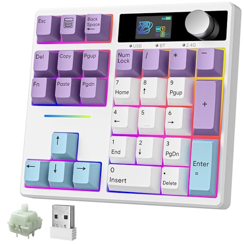 BOYI TD31Pro Mechanical Number Pad,Bluetooth5.0/2.4G/Type-C Wireless Numeric Keypad,RGB HotSwap Numpad with Screen&Knob,PBT Keycap Rechargeable Gasket Number keypad for PC Laptop Desktop(White-Purple) - color: White-Purple