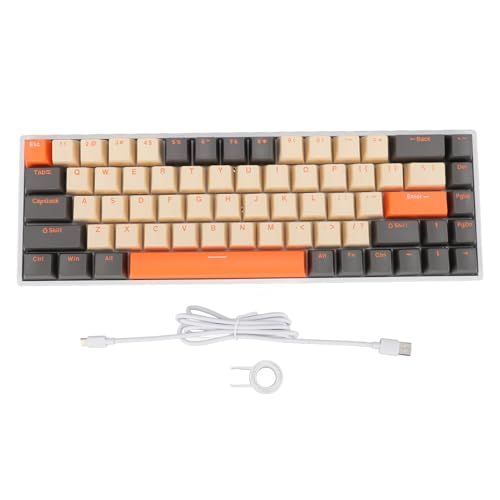 60 Percent 68 Keys Mechanical Keyboard, RGB Backlit Ergonomic Type C Wired Gaming Keyboard for Computer with Red Switch, Hot Swappable Compact Design for Home Office