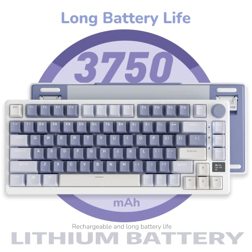 RK ROYAL KLUDGE M75 Mechanical Keyboard with OLED Smart Display and Volume Knob, 2.4G/USB-C/BT Gasket Mounted 75% Layout Wireless Gaming Keyboard with 81 Keys, RGB Backlit Hot-Swap Fast Silver Switch