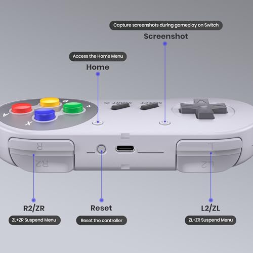 2.4 GHz Wireless SNES Switch Online Controller, USB Receiver, Compatible with Switch/Switch OLED, PC, Mac OS, Android, Steam Deck, Raspberry Pi (Rechargeable) (Plug and Play) (2 Pack) Multicolor - color: Wireless for Switch Multicolor