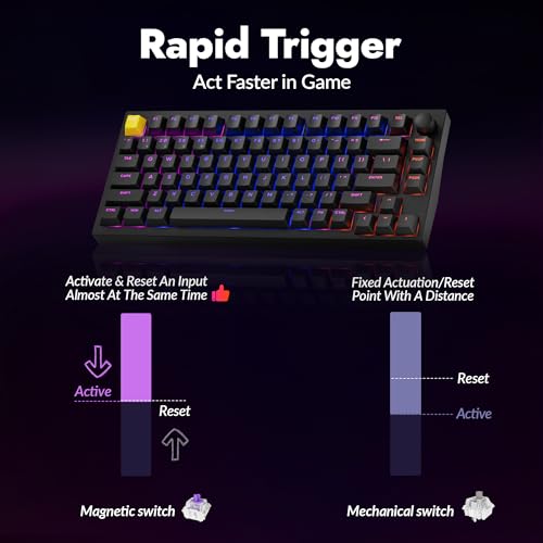 LEMOKEY P1 HE 75% Wireless Custom Mechanical Gaming Keyboard with Gateron Double-Rail Magnetic Switches Knob Version, QMK 2.4 GHz Bluetooth 5.2 RGB Backlight Compatible with Mac Windows Linux-Black - color: Shine-Through-Black
