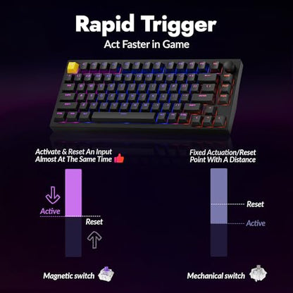 LEMOKEY P1 HE 75% Wireless Custom Mechanical Gaming Keyboard with Gateron Double-Rail Magnetic Switches Knob Version, QMK 2.4 GHz Bluetooth 5.2 RGB Backlight Compatible with Mac Windows Linux-Black - color: Shine-Through-Black