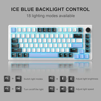 MageGee 75% Mechanical Gaming Keyboard, Compact Blue Backlit Wired Gaming Keyboards with Brown Switches, EVA Foam, Knob Control, STAR75 Portable NKRO PC Gaming Keyboard - White & Blue - color: White & Blue - Brown Switch