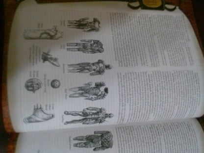 Dungeons & Dragons Player's Handbook: Core Rulebook I v.3.5