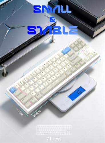 70% Springless TMR Gaming Keyboard,Custom CNC 0.005mm RT Updatable | 8K Polling Rate, 0.0125ms Latency, 0.005mm Precision, 0.001-3.5mm Actuation Travel, RGB Lighting, Gasket-Mount, PC+Mac Ready