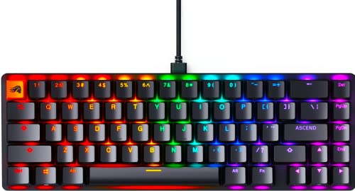 GLORIOUS Gaming GMMK 2 - TKL Mechanical Keyboard - Custom 65% Keyboard - Compact -Hotswap w/Cherry Mx Style Switches - Incl. Double Shot Keycaps & Linear Switches - PC Gaming Setup Accessories - color: Black, size: Prebuilt Compact (65%)
