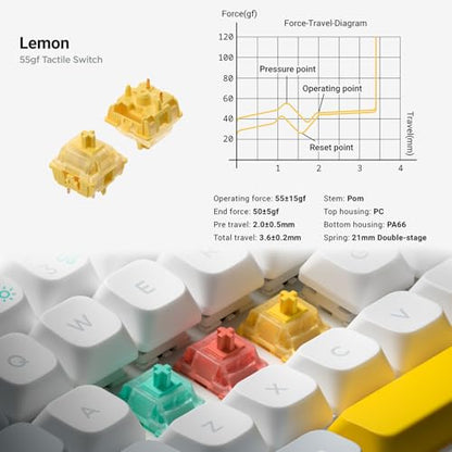 nuphy Halo65 V2 Wireless Mechanical Keyboard with PBT Keycaps, 65% Hot Swappable Custom Gaming Keyboard Compatible with QMK/VIA, RGB Backlit,Gasket Structure,BT5.0/USB-C/2.4GHz,Black-Lemon Switches - color: Black, size: Lemon Switch