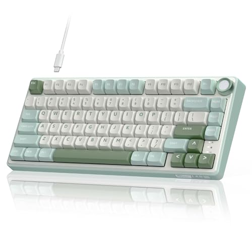 RK ROYAL KLUDGE R75 Mechanical Keyboard Wired with Volume Knob, 75% Keyboard Gasket Mounted, RGB Backlit, Creamy Keyboard with MDA Profile, PBT Keycaps, Hot Swappable Pre-lubed Tactile Switch - color: green