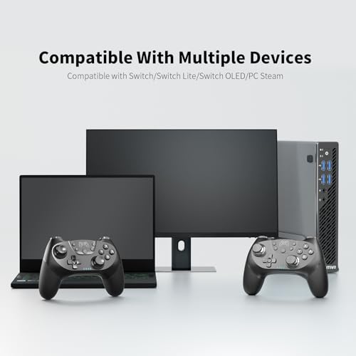 AceGamer 2 pack Wireless Controller for Nintendo Switch/Lite/OLED/Switch 2, Dual Vibration/Turbo/Ergonomic ! (Black*2) - color: Black*2