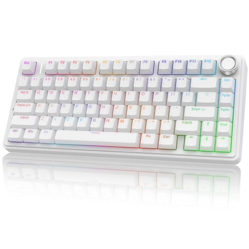 AULA F75 - 75% Mechanical Keyboard, Wireless Gaming keyboard BT5.0/2.4GHz/USB-C, Hot Swappable Custom Pre-lubed Switches with Knob, RGB Backlit Shine-Through PBT Keycaps Creamy Sounding Keyboard - color: White