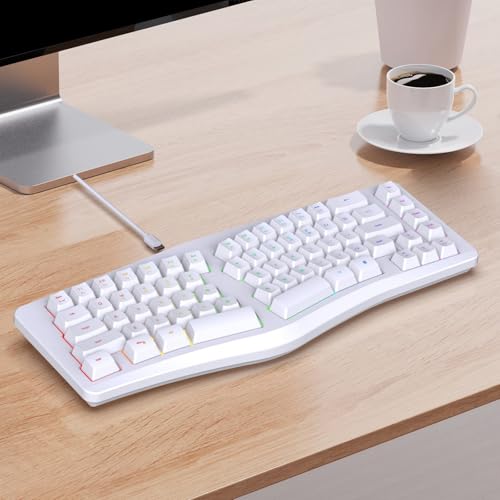 Rgbs Illuminateds Wireds Keyboards with Engraveds ABS Keycaps 25 Rollover Quiet Typing for Computers Ergonomic Gaming Keyboards