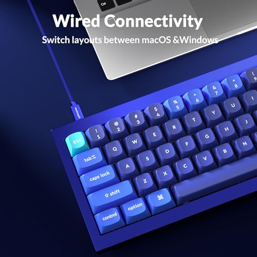 Keychron Q4 Wired Custom Mechanical Keyboard, QMK/VIA Programmable Macro, Full Aluminum, Hot-Swappable Gateron G Pro Blue Switch, 60% Layout Double Gasket Compatible with Mac and Windows - Blue - color: Blue (Gateron G Pro Blue Switch)