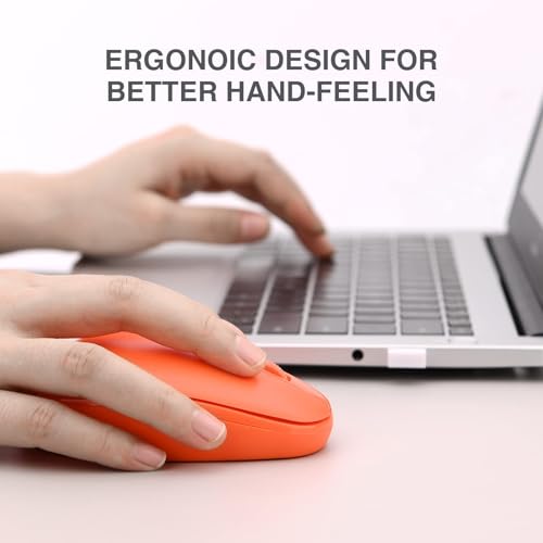 Rii Wireless Mouse RM700 2.4G Silent Mouse with USB Nano Receiver for Laptop,PC,Mac,Chromebook,Windows (5 Mixed Colors) - color: 5 Mixed Colors