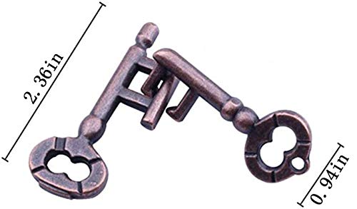 Brain Teaser Puzzle for Adults Puzzles Metal Hole Lock Adult Educational Toy Jigsaw IQ Puzzle (Ferrous) - color: Ferrous