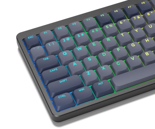 Womier Low Profile Keycaps - PBT Shine Through Keycaps | Mechanical Keyboard Caps, Custom Key caps Full Size for 60 65 75 100 Percent Cherry MX Switches Mechanical Keyboard, Gray - color: Dark Grey