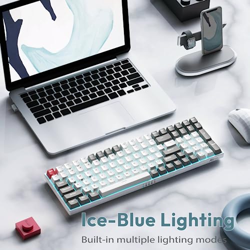 RK ROYAL KLUDGE RK100 Wireless Mechanical Keyboard RGB Backlit Bluetooth5.1/2.4G/Wired 96% Full Size 100-Key Hot Swappable Gaming Keyboard Red Switch Classic - color: Classic, size: Hot Swappable Red Switch