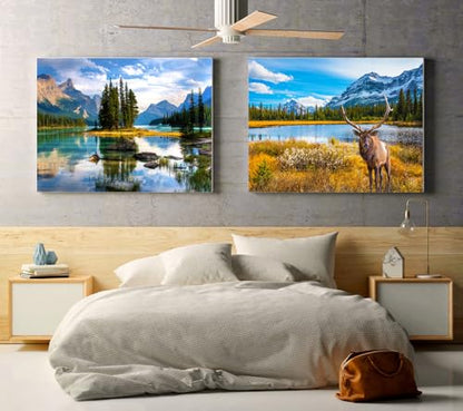 Jigsaw Puzzles 2 Pack 1000 Pieces - Puzzles for Adults - Rocky Mountain & Spirit Island National Park Impossible Challenging Puzzles - color: Rocky Mountain & Spirit Island National Park