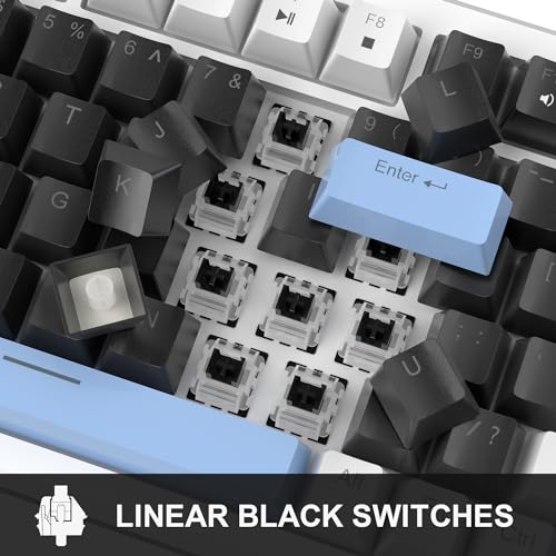 MageGee 75% Mechanical Gaming Keyboard, Compact Blue Backlit Wired Gaming Keyboards with Black Switches, EVA Foam, Knob Control, STAR75 Portable NKRO PC Gaming Keyboard - Black & Blue - color: Black & Blue - Black Switch