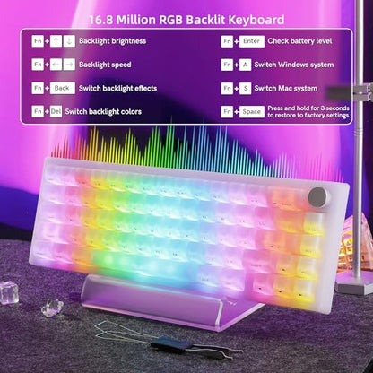 Womier Wireless 60% Gaming Keyboard with Dedicated Knob,Mechanical Keyboard | QMK/VIA Creamy Keyboard Tri-Mode Thocky Custom Jelly White Key Board, Hot Swappable Gasket Mount RGB for Win/Mac(Q61 V2) - color: White Jelly-Q61 V2