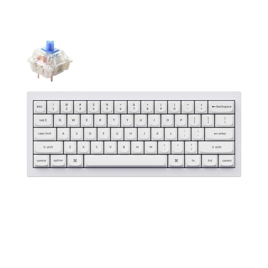 Keychron Q4 Wired Custom Mechanical Keyboard, QMK/VIA Programmable Macro, Full Aluminum, Hot-Swappable Gateron G Pro Blue Switch, 60% Layout Double Gasket Compatible with Mac and Windows - White - color: White (Gateron G Pro Blue Switch)