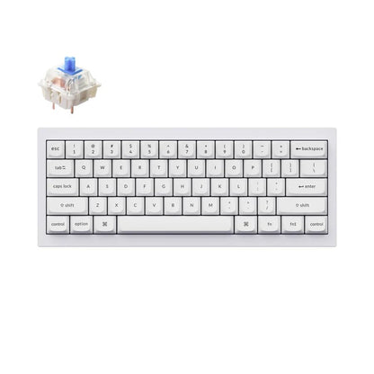 Keychron Q4 Wired Custom Mechanical Keyboard, QMK/VIA Programmable Macro, Full Aluminum, Hot-Swappable Gateron G Pro Blue Switch, 60% Layout Double Gasket Compatible with Mac and Windows - White - color: White (Gateron G Pro Blue Switch)