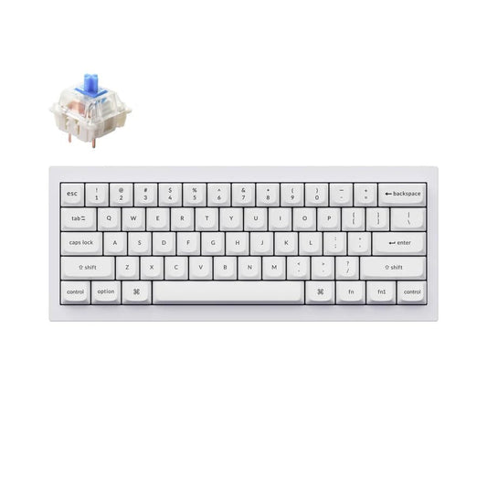Keychron Q4 Wired Custom Mechanical Keyboard, QMK/VIA Programmable Macro, Full Aluminum, Hot-Swappable Gateron G Pro Blue Switch, 60% Layout Double Gasket Compatible with Mac and Windows - White - color: White (Gateron G Pro Blue Switch)