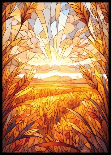 MTG Card Sleeves - Plains- Ultra Clear Front & Matte Finish Back, 100 Count Standard Size Matte Art Sleeve for Magic The Gathering - color: Plains