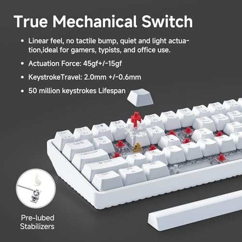 TMKB 60% Mechanical Gaming Keyboard, Red Linear Switch, Wired, White | LED Backlight, Anti-Ghosting, Detachable USB-C, Double-Shot Keycaps, 61 Keys - style: White