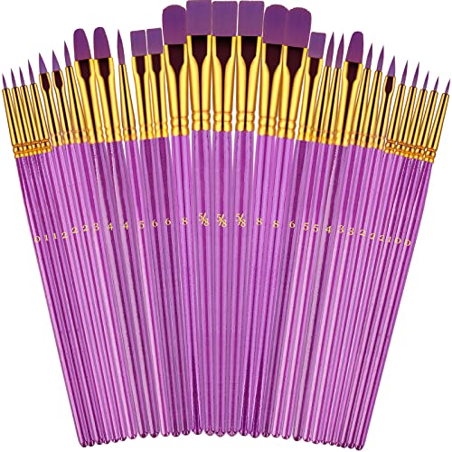 Paint Brushes Set, 30 Pcs Paint Brushes for Acrylic Painting, Watercolor Acrylic Oil Paint Brush, Artist Paintbrushes for Body Face Rock Canvas, Adult Drawing Arts Crafts Supplies, Purple - color: Nickel,purple