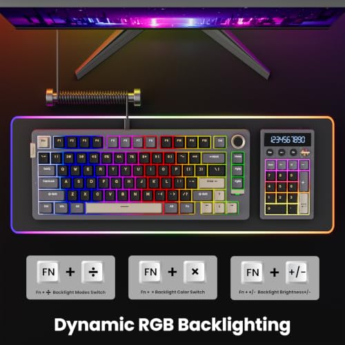 RK ROYAL KLUDGE M20 Wireless Number Pad, Mechanical Numpad with LCD Display, PC Numpad & Calculator Modes, Programmable Numeric Keypad, Bluetooth/2.4G/Wired, RGB Hot-Swappable for Win/Mac - color: Black