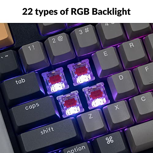 Keychron C2 Pro Wired Custom Mechanical Keyboard Full Size Layout QMK/VIA Programmable Macro RGB Backlit with Hot-Swappable Keychron K Pro Red Switch OEM Profile PBT Keycaps for Mac Windows Linux - style: Hot-swap Keychron K Pro Red Switch