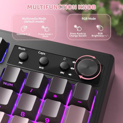FREEWOLF K100 99 Keys Gaming Creamy Silent Wireless Keyboard with Media Knob,BT/2.4GHz/USB-C,Side Printed Keys RGB Backlit Number Pad,Retro Cute Membrane Computer Keyboard for PC/MAC-Gradient Pink - color: Gradient Pink