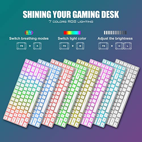 RedThunder 60% Mini Gaming Keyboard and Mouse Combo, Lightweight, Ultra-Compact 61 Keys RGB Backlit,7200 DPI Honeycomb Optical Mouse, Wired Gaming Set for PC MAC PS5 Xbox Gamer(White) - style: 01 White Wired Combo