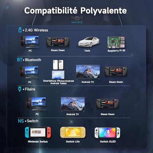 EasySMX Rechargeable Mobile Switch PC Controllers with Interchangeable Magnetic Cover, X10 Wireless Bluetooth Switch Controller Pro PC Controller for Android Mobile iOS and Tesla, Grey - color: Dark gray