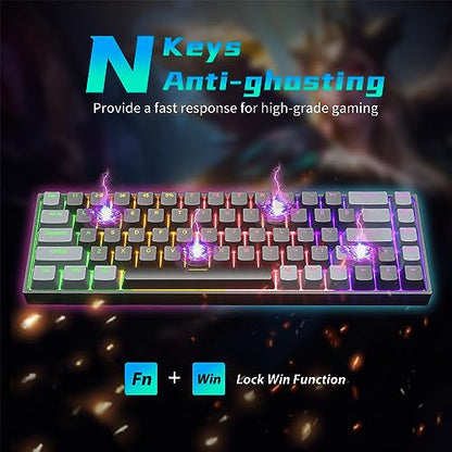 60% Percent Mechanical Gaming Keyboard, RGB Backlit 68 Keys Ultra-Compact Wired Keyboard with Detachable Type-C Cable, Full Anti-Ghost, Blue Switch Portable Mini Keyboard for Windows PC Mac Xbox Gamer