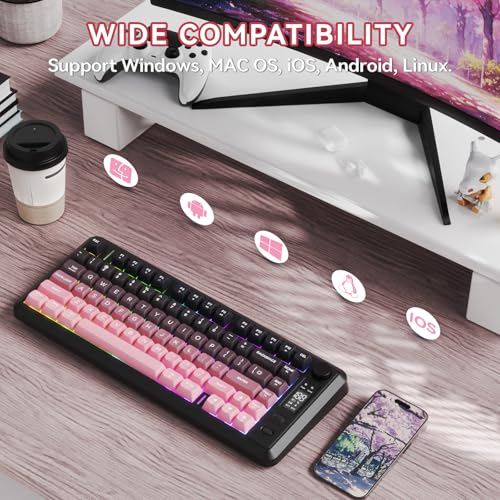 ZIYOU LANG M75 Wireless Gaming Keyboard, RGB Backlit Rechargeable 2000mAh Battery, Small Membrane But Mechanical Feel Keyboard with Smart Display & Knob, PBT Gradient keycaps for PC, MAC-BlackBerry - color: Blackberry