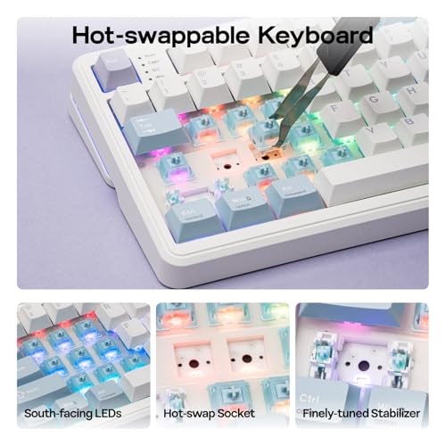 EPOMAKER TH99 PRO 96% Mechanical Keyboard with Screen & Knob, 10000mAh, 2.4Ghz/BT, Hot Swap, Custom Driver, RGB Backlight, PBT Keycap, Wireless Gaming Keyboard for PC/Mac (Blue&White, Sea Salt Silent) - color: Blue&White, size: Sea Salt Silent