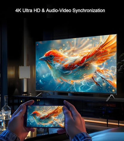 HDMI Splitter 1 in 2 Out, 4K@30Hz HDMI Splitter 1x2 Support 3D 1080P Full HD Compatible with PS5/4/3 Xbox Nintendo Roku HDTV Fire Stick Blu-ray Silver (Only Mirrors Screens) - color: 1x2 4K@30Hz