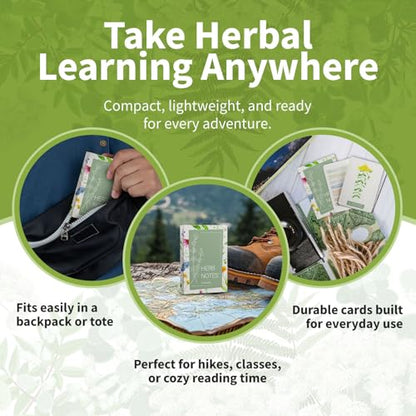 Herb Notes Plant Identification Cards, 48 Illustrated Botanical Flash Cards | Herb Cards for Plant Identification, Nature Study & Classroom Learning, Compatible with Learning Herbs Wildcraft! Board Game - style: Herb Notes
