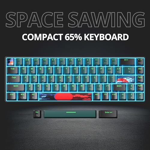 Protable 60% Percent Gaming Keyboard Mechanical, Mini Compact Ice-Blue LED Backlit 68 Keys Wired Office Keyboard with Red Switch for Mac/Win/PS4/PS5(68Green/red Switch) - color: 68Green/red Switch