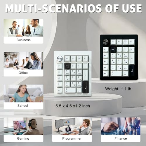 FKZ GMK26 Mechanical Numpad,Gasket VIA Macro Numeric Keypad Hot Swap Wireless 2.4G/BT5.0/Wired USB-C RGB Backlit 26 Keys Mini Protable Number Keyboard Programmable for Win/Mac/Gaming (White) - color: White