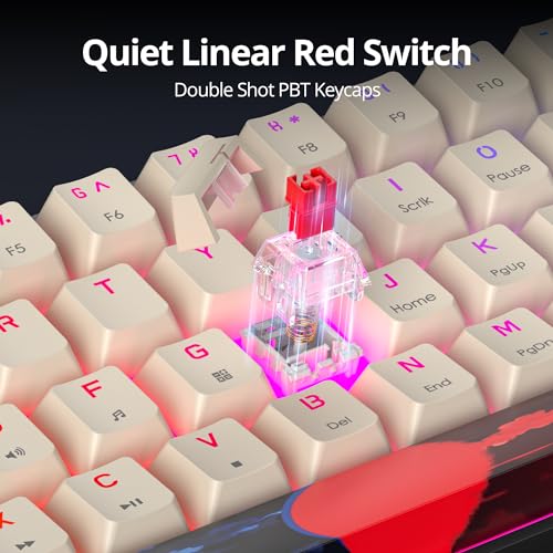 Orange Mechanical Gaming Keyboard 60 Percent, Red Switch RGB Keyboard 60%, 61 Keys Small Wired Key board, PBT Keycaps Anti-Ghosting Mini Keyboards for Business Trips, Game/Office (61 Carbon) - color: 61 Carbon/Red Switch