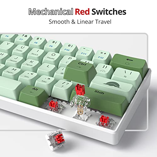 Fogruaden 60 Percent Mechanical Matcha Gaming Keyboard - 60% Red Switch, RGB Backlit, Wired with MDA PBT Keycaps for Win/Mac PC Laptop - color: 61 Matcha/ Red Switch