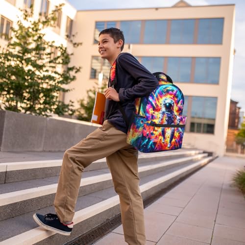 School Backpack for Boys- Astronaut Backpacks Boys Backpack for Kids Children Teens Elementary Middle School - Students Bookbag Ages 6-18, Astronaut Bookbag Travel Back Pack - color: Astronaut