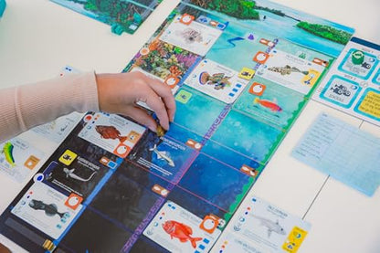 Stonemaier Games: Finspan - A Wingspan Game by David Gordon & Michael O’Connell | A Relaxing Strategy Board Game About Collecting Fish and Ocean Diving for Adults and Family | 1-5 Players, 60 Mins