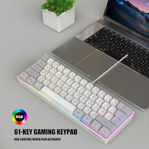 Snpurdiri 60% Wired Gaming Keyboard, 61 Keys RGB Backlit Small Gaming Keyboard for PC/Mac Gamer, Typist, Travel, Easy to Carry on Business Trip(Grey-White) - color: Grey and White